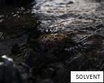 SOLVENT anagram