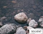 SOLVENT anagram