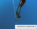 SONOROUSNESSES anagram
