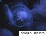 SONOROUSNESSES anagram