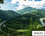 SPACES anagram