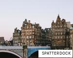 SPATTERDOCK anagram