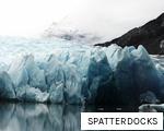 SPATTERDOCKS anagram
