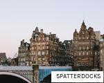 SPATTERDOCKS anagram