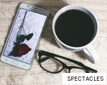 SPECTACLES anagram