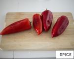 SPICE anagram