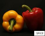 SPICE anagram