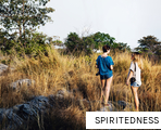 SPIRITEDNESS anagram