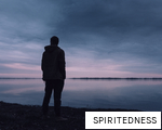SPIRITEDNESS anagram