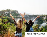 SPIRITEDNESS anagram
