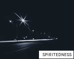 SPIRITEDNESS anagram