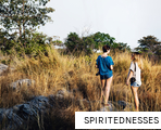 SPIRITEDNESSES anagram