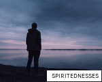 SPIRITEDNESSES anagram