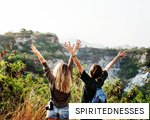 SPIRITEDNESSES anagram