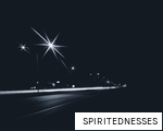 SPIRITEDNESSES anagram