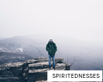 SPIRITEDNESSES anagram