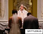 SPITTLEBUG anagram