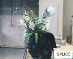 SPLICE anagram