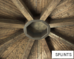 SPLINTS anagram