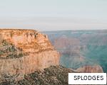 SPLODGES anagram