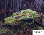 SPORE anagram