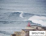 SPOUTING anagram