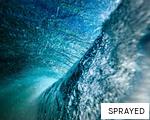 SPRAYED anagram