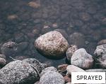 SPRAYED anagram