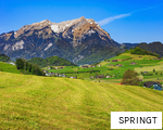 SPRINGT anagram