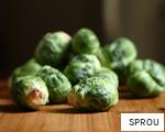 SPROU anagram