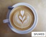 SPUMED anagram