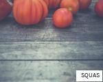 SQUAS anagram