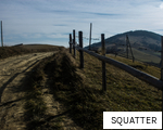 SQUATTER anagram