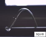 SQUIB anagram