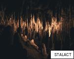 STALACT anagram