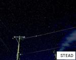 STEAD anagram