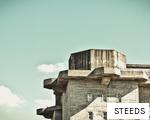 STEEDS anagram