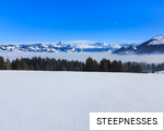 STEEPNESSES anagram