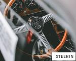 STEERIN anagram