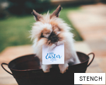 STENCH anagram
