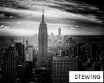 STEWING anagram
