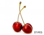 STIPES anagram