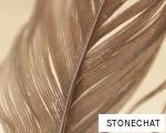STONECHAT anagram