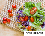 STORMPROOF anagram