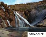 STRAGGLER anagram