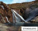 STRAGGLERS anagram