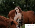 STRAYS anagram
