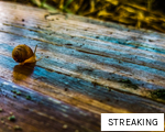 STREAKING anagram