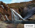STREAM anagram