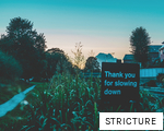 STRICTURE anagram